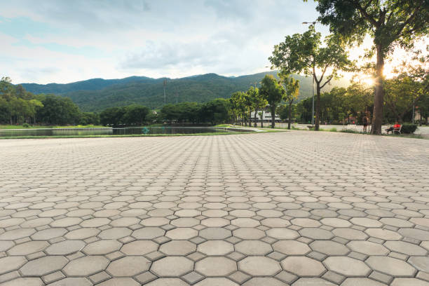 Best Interlocking Driveway Pavers  in Newport, WA