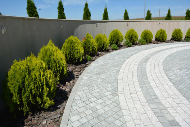 Best Driveway Paving Contractor  in Newport, WA
